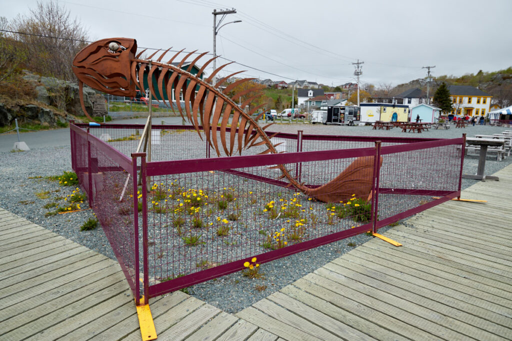 Quidi Vidi