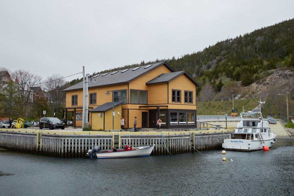 Quidi Vidi