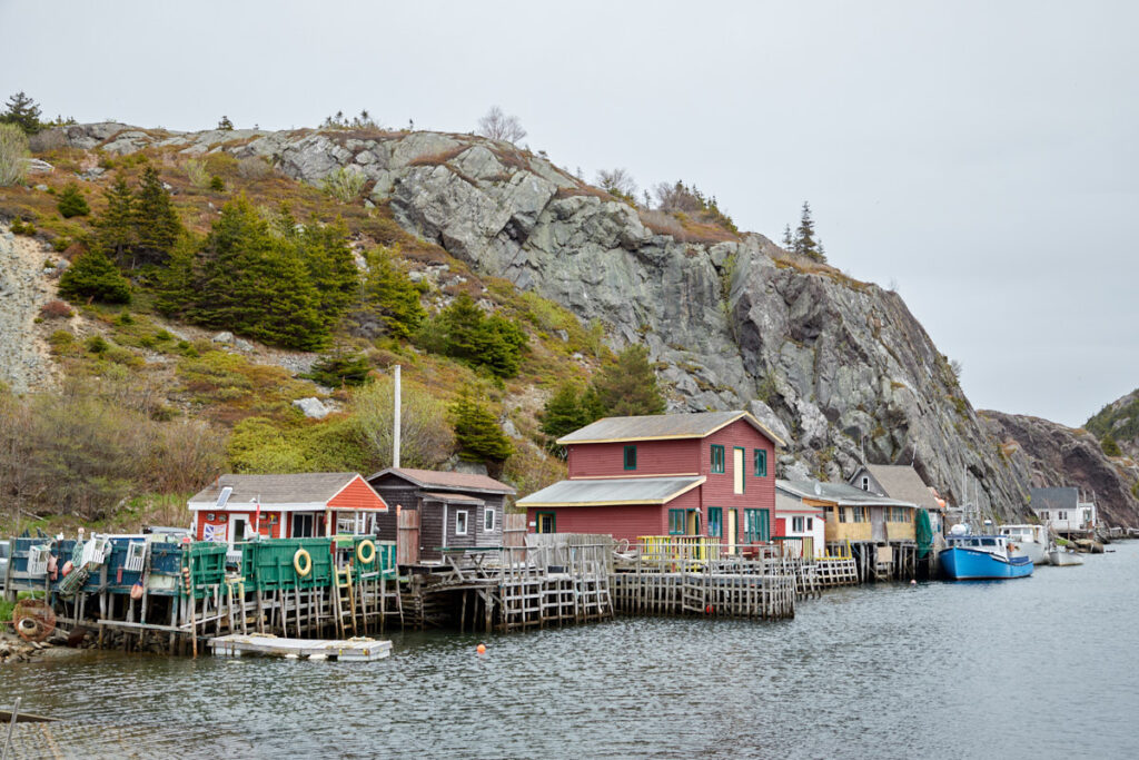 Quidi Vidi
