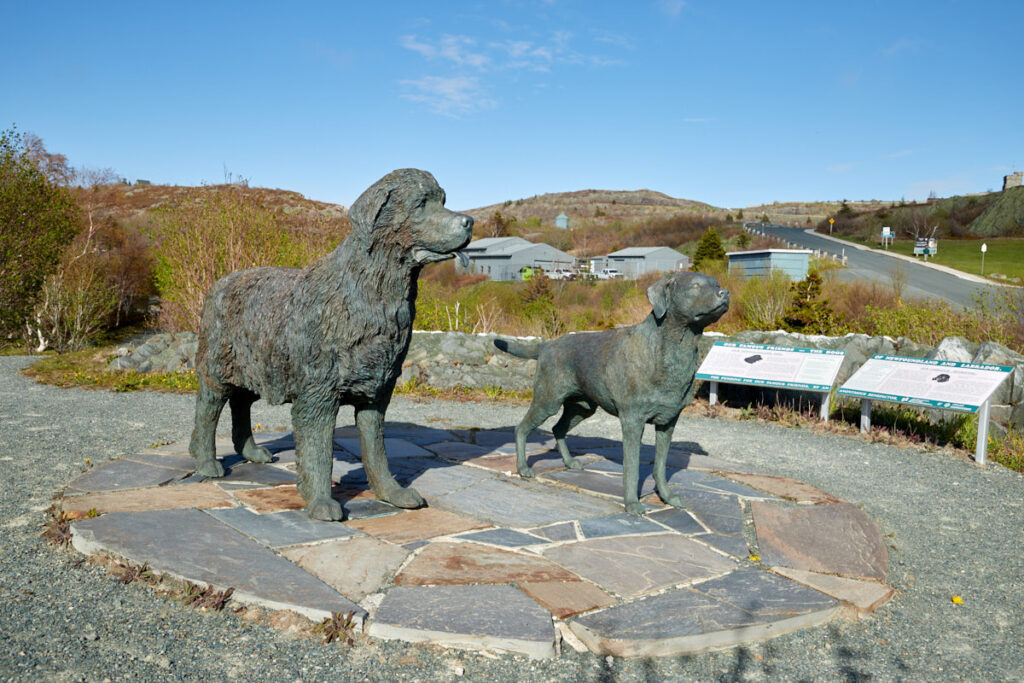 Signal Hill