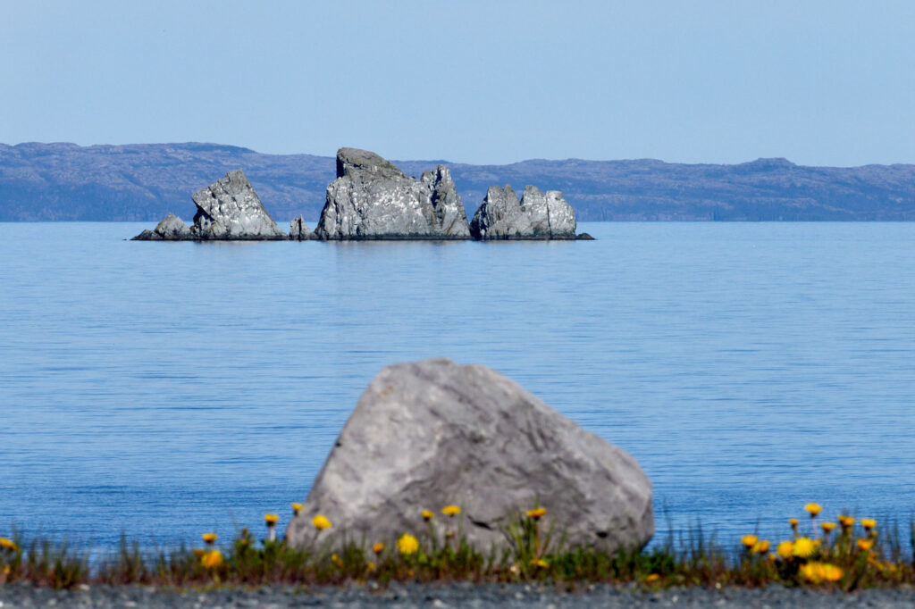 Avalon Peninsula