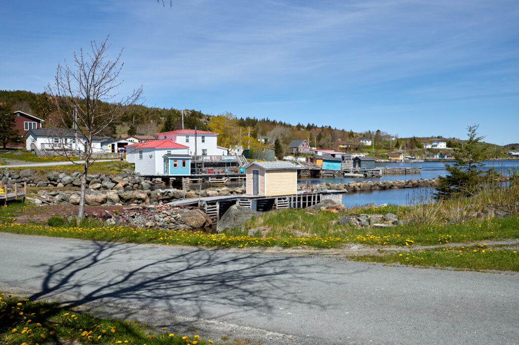 Avalon Peninsula