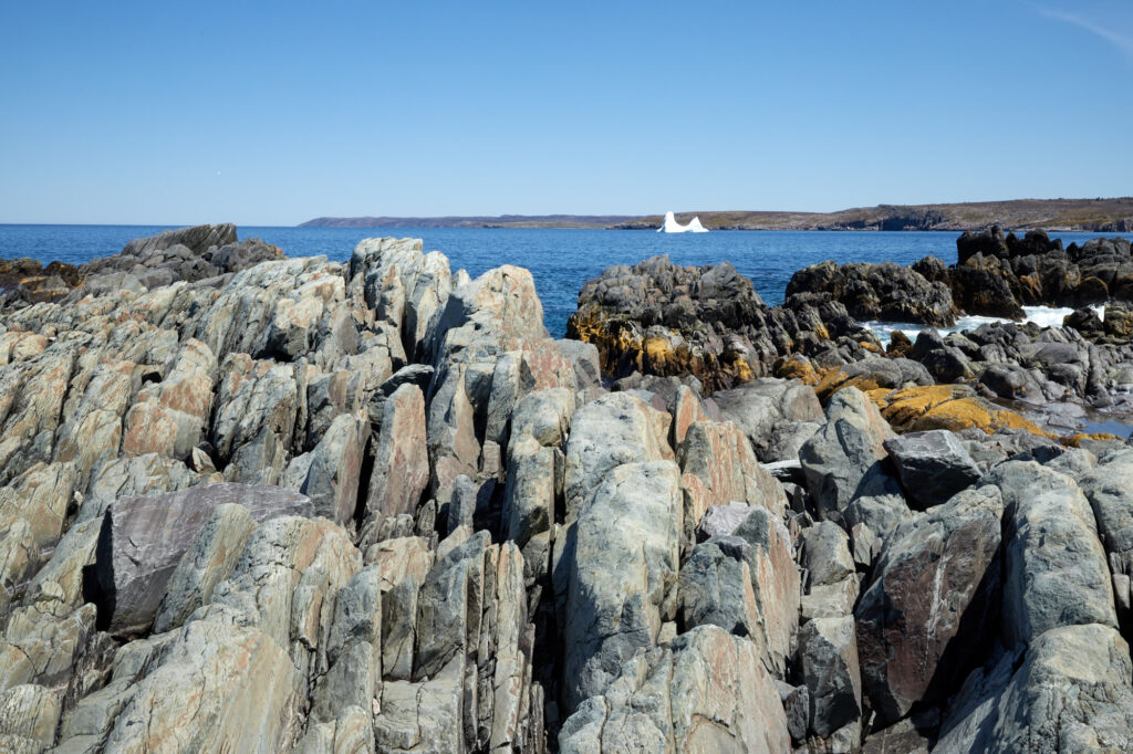 Avalon Peninsula