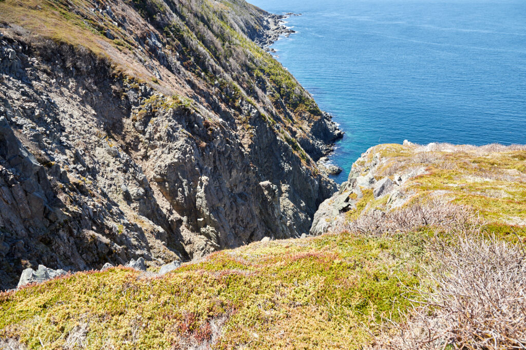 Avalon Peninsula