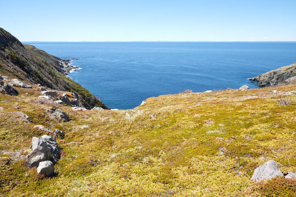 Avalon Peninsula