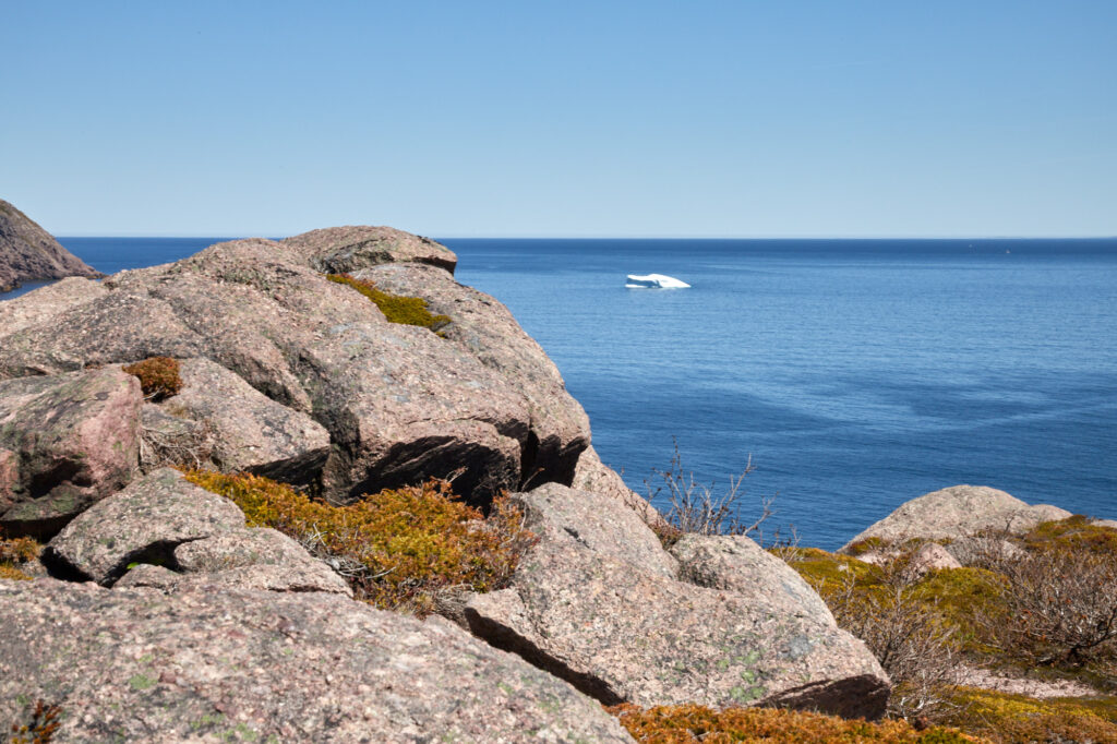 Avalon Peninsula