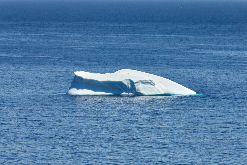Avalon Peninsula