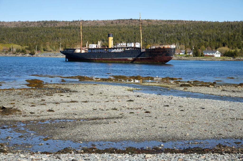 Avalon Peninsula