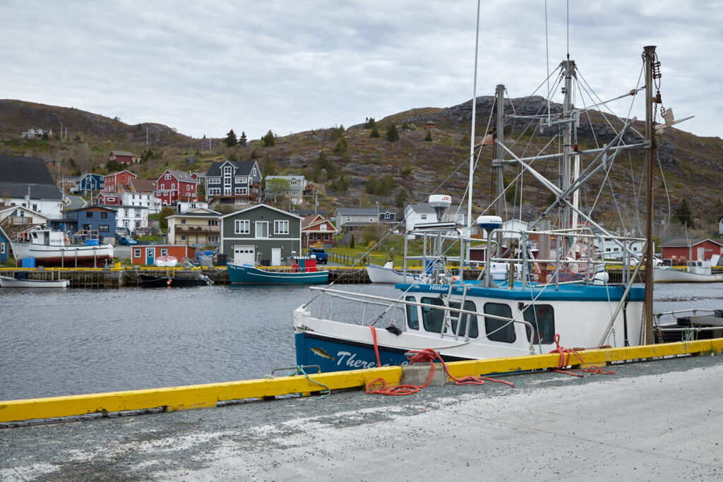 Petty Harbour