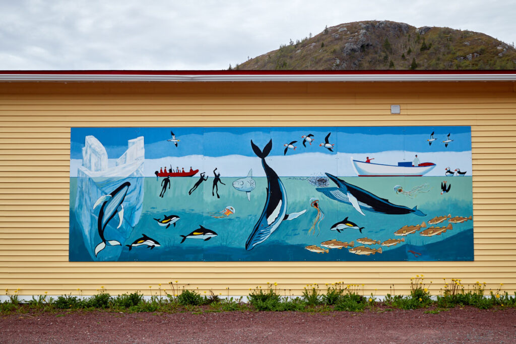 Petty Harbour