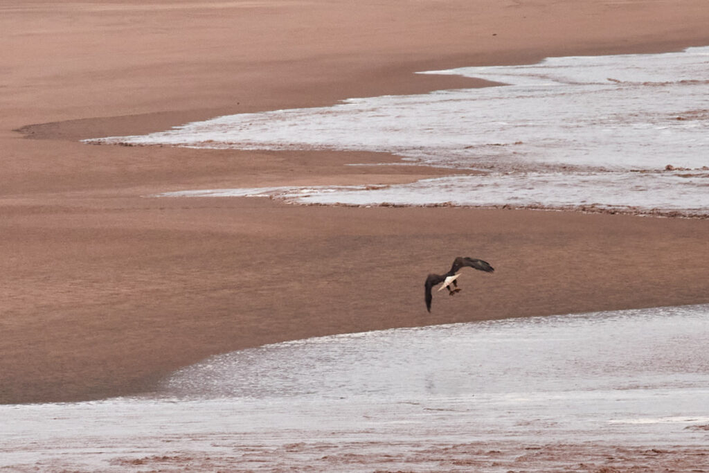 Fundy Tidal Interpretive Centre