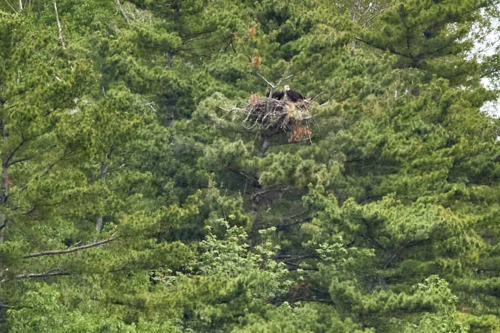 Fundy Tidal Interpretive Centre