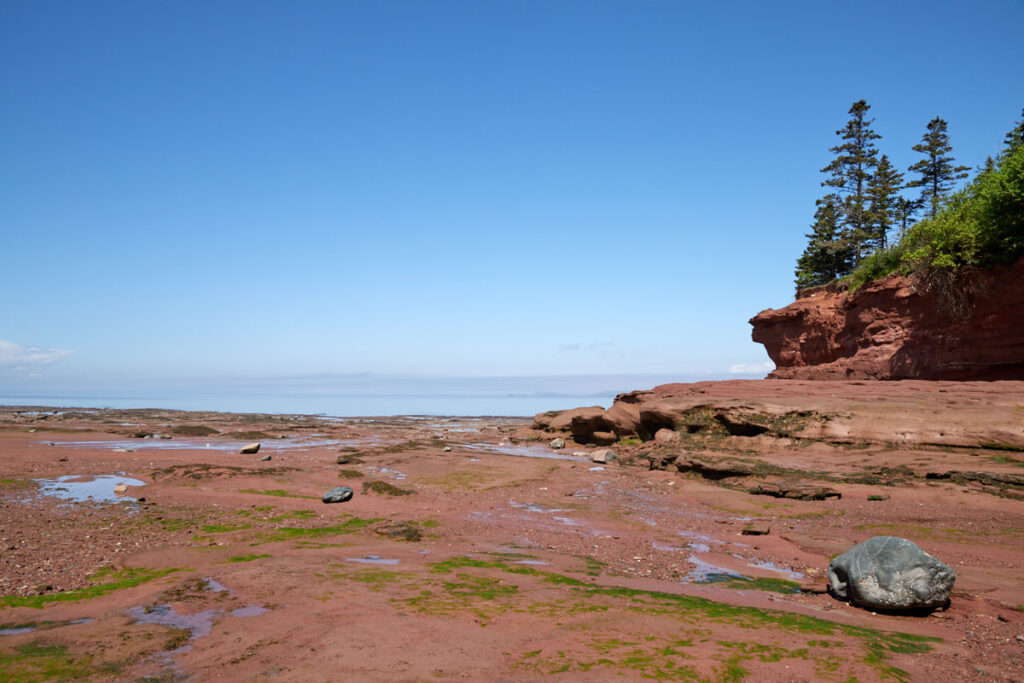 Burntcoat Head Park