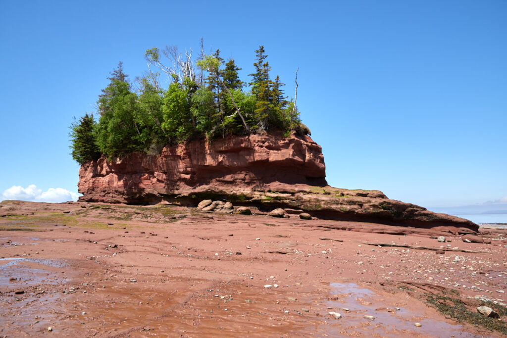 Burntcoat Head Park