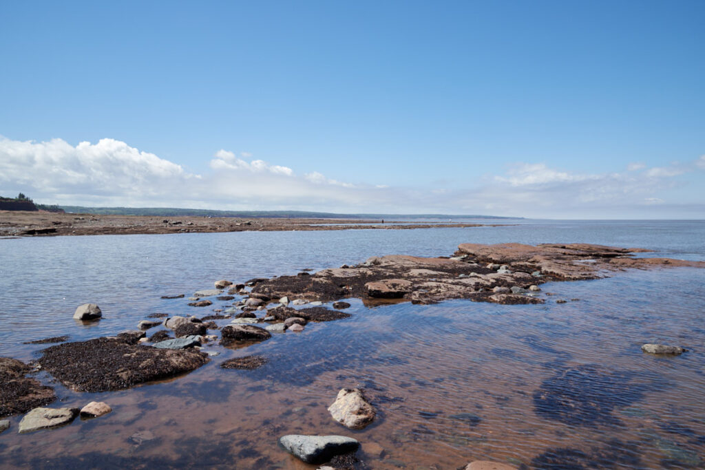 Burntcoat Head Park