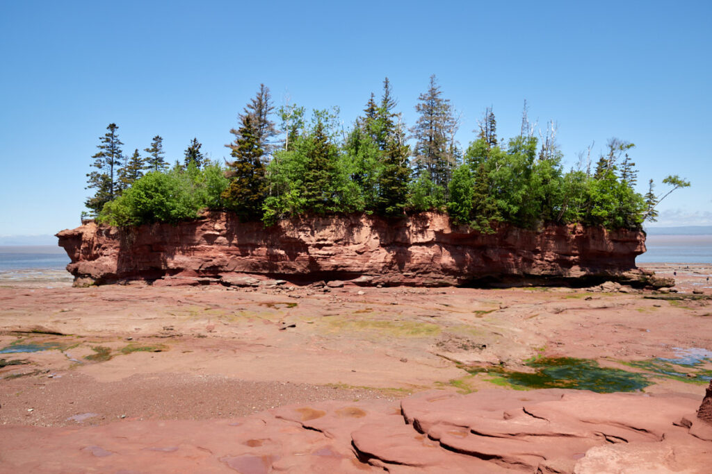 Burntcoat Head Park
